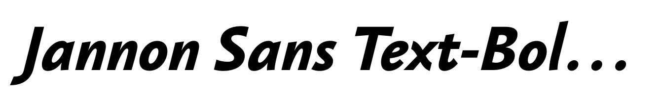 Jannon Sans Text-Bold Italic